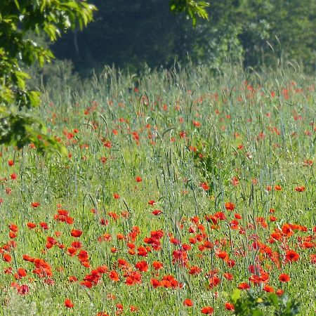 Villa Au Ptit Coquelicot à Houyet Extérieur photo